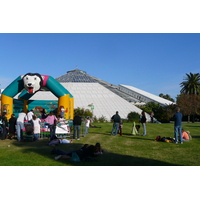 รูปถ่าย ฝรั่งเศส(France) นีส(Nice) สวนฟีนิกซ์(Phoenix Parc) 2007-10 72