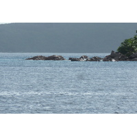 รูปถ่าย เซเชลส์(Seychelles) เกาะลาดีก(La Digue) 2011-10 171