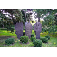 รูปถ่าย ฝรั่งเศส(France) ปารีส(Paris) สวนพันธ์ุพืช(Jardin des Plantes) 2007-08 117