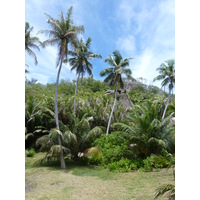รูปถ่าย เซเชลส์(Seychelles) เกาะกร็องด์เซอร์(Grande Soeur) 2011-10 5