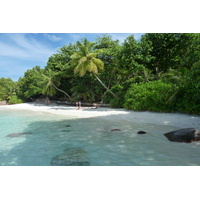 รูปถ่าย เซเชลส์(Seychelles) อ่าวอ็องส์ลาซิโอ(Anse Lazio) 2011-10 189