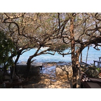 รูปถ่าย ไทย(Thailand) เกาะเสม็ด(Ko Samet) 2014-12 233
