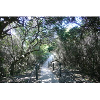 รูปถ่าย แอฟริกาใต้(South Africa) หุบเขาเนเจอร์ส(Nature's Valley) 2008-09 57