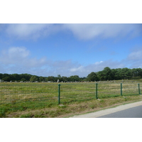 รูปถ่าย ฝรั่งเศส(France) การ์นัก(Carnac) 2008-07 23