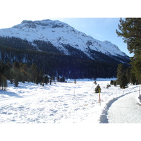 รูปถ่าย สวิสเซอร์แลนด์(Switzerland) เซนต์มอริตซ์ ชลาริญญา(St Moritz Schlarigna) 2007-01 82