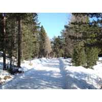 รูปถ่าย สวิสเซอร์แลนด์(Switzerland) เซนต์มอริตซ์ ชลาริญญา(St Moritz Schlarigna) 2007-01 72