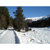 รูปถ่าย สวิสเซอร์แลนด์(Switzerland) เซนต์มอริตซ์ ชลาริญญา(St Moritz Schlarigna) 2007-01 26