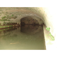 รูปถ่าย ฝรั่งเศส(France) โซเมียร์(Sommieres) 2006-06 77