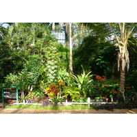 รูปถ่าย ฝรั่งเศส(France) นีส(Nice) สวนฟีนิกซ์(Phoenix Parc) 2007-10 67