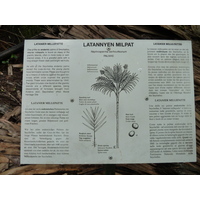 รูปถ่าย เซเชลส์(Seychelles) หุบเขาเดอไม(Vallee de Mai) 2011-10 25
