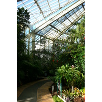 รูปถ่าย ฝรั่งเศส(France) นีส(Nice) สวนฟีนิกซ์(Phoenix Parc) 2007-10 86