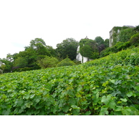 รูปถ่าย ฝรั่งเศส(France) ปารีส(Paris) มังท์มาร์เทรอ(Montmartre) 2007-06 135