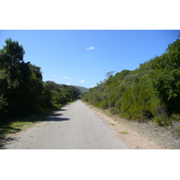 รูปถ่าย แอฟริกาใต้(South Africa) หุบเขาเนเจอร์ส(Nature's Valley) 2008-09 56