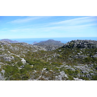 รูปถ่าย แอฟริกาใต้(South Africa) เคปทาวน์(Cape Town) ภูเขาเทเบิล(Table Mountain) 2008-09 88