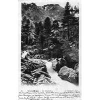 รูปถ่าย ฝรั่งเศส(France) คอร์สิคา(Corsica) โปสการ์ดเก่า(Old Postcards) 1900-01 125