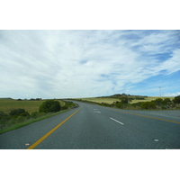 รูปถ่าย แอฟริกาใต้(South Africa) ถนนจากเฮอร์มานัสไปไนส์นา(Harmanus to Knysna road) 2008-09 91