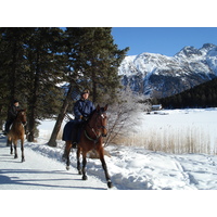รูปถ่าย สวิสเซอร์แลนด์(Switzerland) เซนต์มอริตซ์ ชลาริญญา(St Moritz Schlarigna) 2007-01 33