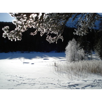 รูปถ่าย สวิสเซอร์แลนด์(Switzerland) เซนต์มอริตซ์ ชลาริญญา(St Moritz Schlarigna) 2007-01 29
