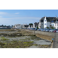รูปถ่าย ฝรั่งเศส(France) อีลตูดี(Ile Tudy) 2008-07 15