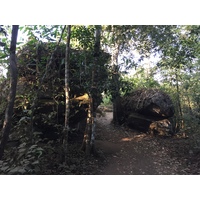 รูปถ่าย ไทย(Thailand) อุทยานแห่งชาติภูหินร่องกล้า(Phu Hin Rong Kla National Park) 2014-12 383