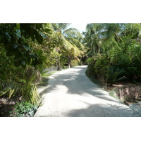 รูปถ่าย เซเชลส์(Seychelles) อ่าวอ็องส์ลาซิโอ(Anse Lazio) 2011-10 133