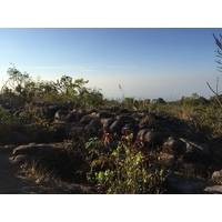 รูปถ่าย ไทย(Thailand) อุทยานแห่งชาติภูหินร่องกล้า(Phu Hin Rong Kla National Park) 2014-12 97