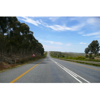 รูปถ่าย แอฟริกาใต้(South Africa) ถนนจากเฮอร์มานัสไปไนส์นา(Harmanus to Knysna road) 2008-09 85