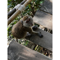 รูปถ่าย ไทย(Thailand) กระบี่(Krabi) 2023-01 110