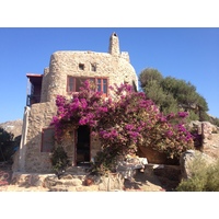 รูปถ่าย กรีก(Greece) เกาะมิโคนอส(Mykonos) 2014-07 339
