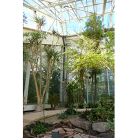 รูปถ่าย ฝรั่งเศส(France) นีส(Nice) สวนฟีนิกซ์(Phoenix Parc) 2007-10 2