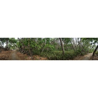 รูปถ่าย คอสตาริกา(Costa Rica) มอนเตซูมา(Montezuma) 2015-03 395