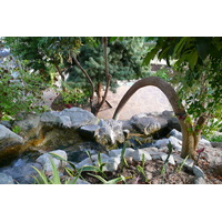 รูปถ่าย ฝรั่งเศส(France) นีส(Nice) สวนฟีนิกซ์(Phoenix Parc) 2007-10 25