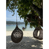 รูปถ่าย ไทย(Thailand) เกาะพีพีดอน(Ko Phi Phi Don) 2021-12 81