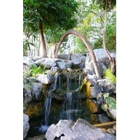 รูปถ่าย ฝรั่งเศส(France) นีส(Nice) สวนฟีนิกซ์(Phoenix Parc) 2007-10 98