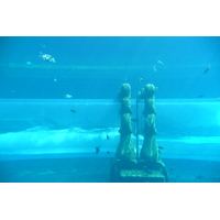 รูปถ่าย สหรัฐอาหรับเอมิเรตส์(United Arab Emirates) ดูไบ(Dubai) สวนน้ำอควาเวนเจอร์ ดูไบ(Dubai Aquaventure) 2009-01 155