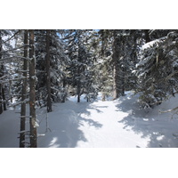 รูปถ่าย ฝรั่งเศส(France) เลทรัววาเล(Les 3 Vallees) 2013-03 174