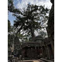 รูปถ่าย กัมพูชา(Cambodia) เสียมราฐ(Siem Reap) ปราสาทตาพรหม(Ta Prohm) 2023-01 15
