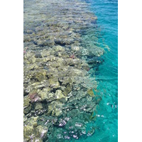 รูปถ่าย อียิปต์(Egypt) ชาร์มเอลชีค(Sharm el Sheikh) โรงแรมโฟร์ซีซันส์(Four Seasons Hotel) หาดโฟร์ซีซันส์(Four Seasons Beach) 2008-06 47