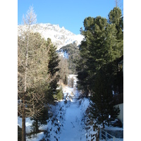 รูปถ่าย สวิสเซอร์แลนด์(Switzerland) ปองเทรซีน่า(Pontresina) 2007-01 78