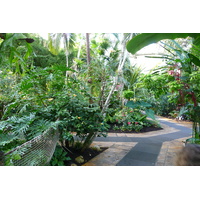 รูปถ่าย ฝรั่งเศส(France) นีส(Nice) สวนฟีนิกซ์(Phoenix Parc) 2007-10 104