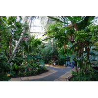 รูปถ่าย ฝรั่งเศส(France) นีส(Nice) สวนฟีนิกซ์(Phoenix Parc) 2007-10 105