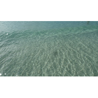 รูปถ่าย เซเชลส์(Seychelles) อ่าวอ็องส์ลาซิโอ(Anse Lazio) 2011-10 177