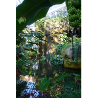 รูปถ่าย ฝรั่งเศส(France) นีส(Nice) สวนฟีนิกซ์(Phoenix Parc) 2007-10 28