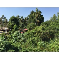 รูปถ่าย ไทย(Thailand) พิษณุโลก(Phitsanulok) 2014-12 48