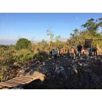 รูปถ่าย ไทย(Thailand) อุทยานแห่งชาติภูหินร่องกล้า(Phu Hin Rong Kla National Park) 2014-12 423