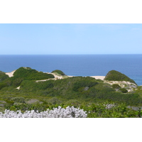 รูปถ่าย แอฟริกาใต้(South Africa) ถนนจากเฮอร์มานัสไปไนส์นา(Harmanus to Knysna road) 2008-09 71