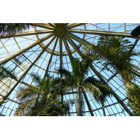 รูปถ่าย ฝรั่งเศส(France) นีส(Nice) สวนฟีนิกซ์(Phoenix Parc) 2007-10 102