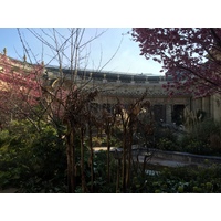 รูปถ่าย ฝรั่งเศส(France) ปารีส(Paris) ปตีปาเล(Petit Palais) 2016-03 30