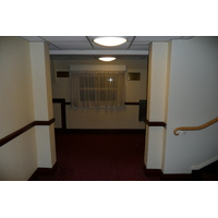 รูปถ่าย อังกฤษ(United Kingdom) ลอนดอน(London) โรงแรมสแตรนด์พาเลซ(Strand Palace Hotel) 2008-02 19