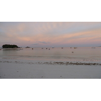 รูปถ่าย เซเชลส์(Seychelles) เกาะปราลิน(Praslin) 2011-10 159